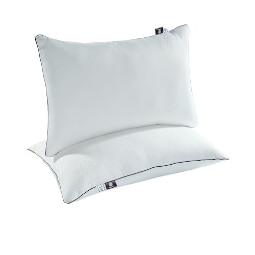 Makimoo Premium 2er Pack 70x48cm Schlafkissen Bettkissen Superweiche Daunen Alternative mit waschbarem Bezug Mikrofaser Füllung 2er Set von Makimoo