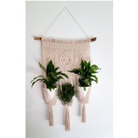 Makramee Blumenampel/Blumenhänger Planthanger Wandbehang Makramee Blumenampel/Blumenhänger Planthanger Wandbehang von Makralyptus
