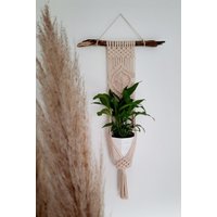 Makramee Blumenampel/Blumenhänger Wandbehang Wanddeko Planthanger Makramee Blumenampel/Blumenhänger Wandbehang Wanddeko Planthanger von Makralyptus