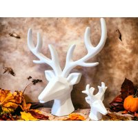 Hirschkopf | Herbstdeko Raysin Wohndekoration Hirschgeweih Geschenkidee Weihnachtsdeko Reh Jäger| Schmuckständer Fensterdeko Hirschkopf | Herbstdeko Raysin Wohndekoration Hirschgeweih Geschenkidee Weihnachtsdeko Reh Jäger| Schmuckständer Fensterdeko von Makrameelilifee