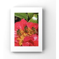 Natur Geschenk Foto Druck, Honigbienen in Hawaii Mattiert Foto, Handsigniert von MalaHoneyBotanicals