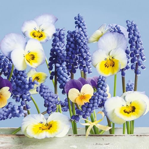 20 Servietten Frühling Blaue Frühlingsblumen als Tischdeko. Papierservietten mit Motiv. Auch für Decoupage und Serviettentechnik 33x33cm von Malagro