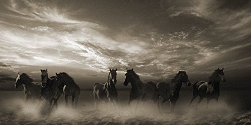 Malcolm Sanders Wild Stampede 30 x 60cm Canvas Print Leinwanddruck, Mehrfarbig, 30 x 60 cm von Malcolm Sanders