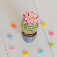 Kaktus Amigurumi Schreibtisch Pflanze Regal Dekor Süßer Büro Spielzeug Häkeln Sukkulenten Mini Topf von MalechaKnitting