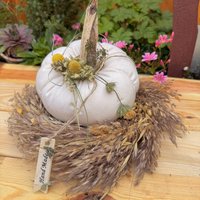 Kürbis Aus Baumwolle Creme, Beige Deko Kranz Ø 25 cm Gräser Tischdekoraktion Im Landhaus Kürbis Aus Baumwolle Creme, Beige Deko Kranz Ø 25 cm Gräser Tischdekoraktion Im Landhaus von MalwineDesign