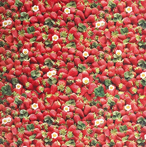 PVC Tischdecke Erdbeere Wachstuch • Eckig • Länge & Breite wählbar • abwaschbare Tischdecke • rot Früchte Strawberry, Größe:140 x 2500 cm von Mambo-Design