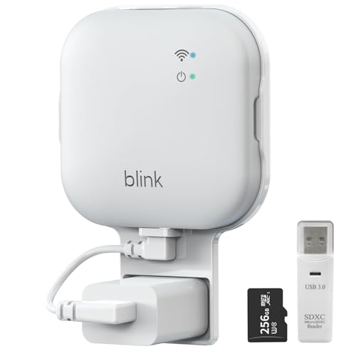 Mamerry 256 GB MicroSD-Karte und Synchronisierungsmodul XR Halterung, ohne Bohren, Halterung für Blink Außen-/Innen-Sicherheitskameras, USB-C-Kabel, SD-Kartenleser (Sync-Modul XR nicht im Lieferumfang von Mamerry