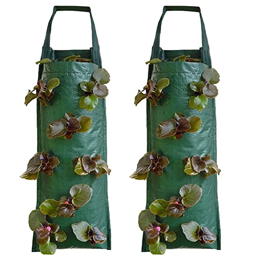 Mandeep 2er Pack Pflanztasche Hängend Vertikal Pflanzsack Pflanzbeutel Erdbeere Grow Tasche Atmungsaktiv von Mandeep