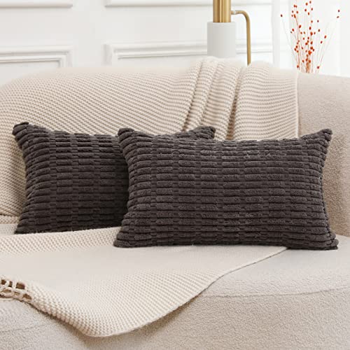 Mandioo 2er Set Grau Plüsch Boho Dekorative Wurf Kissenbezüge 30x50 cm, Super Weich gestreifte Cord Dekokissen Kissenbezug Sofakissen Dekorativ Couchkissen Kissenhülle für Sofa Couch Wohnzimmer von Mandioo