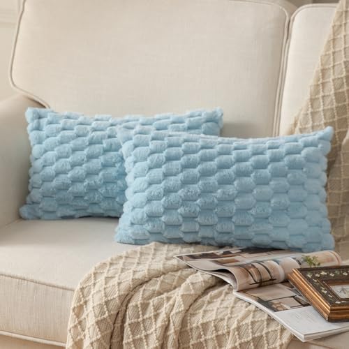Mandioo 2er Set Hellblau superweichen dekorative Plüsch Kissenbezug Kissenbezüge 30 x 50 cm Wollsamt Dekokissenbezüge Kissenhülle Sofakissen Dekokissen flauschig für Couch Sofa Bett Wohnzimmer von Mandioo