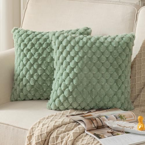 Mandioo 2er Set Salbeigrün superweichen dekorative Plüsch Kissenbezug Kissenbezüge 60 x 60 cm Wollsamt Dekokissenbezüge Kissenhülle Sofakissen Dekokissen flauschig für Couch Sofa Bett Wohnzimmer von Mandioo