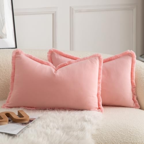 Mandioo 2er Set neutralen Baumwolle Quasten Kissenbezug 40x60cm Dekorative Kissenbezüge Dekokissen Boho Sofakissen Kissenhülle für Couch Sofa Schlafzimmer Wohnzimmer Heimdekoration Rosa von Mandioo