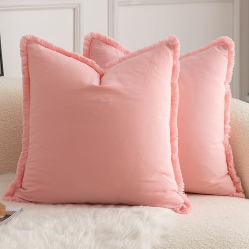 Mandioo 2er Set neutralen Baumwolle Quasten Kissenbezug 45x45cm Dekorative Kissenbezüge Dekokissen Boho Sofakissen Kissenhülle für Couch Sofa Schlafzimmer Wohnzimmer Heimdekoration Rosa Mandioo 2er Set neutralen Baumwolle Quasten Kissenbezug 45x45cm Dekorative Kissenbezüge Dekokissen Boho Sofakissen Kissenhülle für Couch Sofa Schlafzimmer Wohnzimmer Heimdekoration Rosa von Mandioo