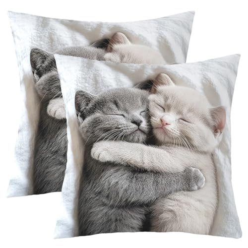 Cute Cat Kids werfen Kissen Abdeckung, 3D Tiertier Haustier Katze Liebhaber Doppelseiten Kissenhülle, Kawaii einfache Mode Heimdekor, graue weiße Bett Couch Sofa Kissen Abdeckung, 2 Packung 40x40 cm Cute Cat Kids werfen Kissen Abdeckung, 3D Tiertier Haustier Katze Liebhaber Doppelseiten Kissenhülle, Kawaii einfache Mode Heimdekor, graue weiße Bett Couch Sofa Kissen Abdeckung, 2 Packung 40x40 cm von Manfei