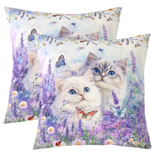Lovely Cat Kids werfen Kissen Abdeckung, Schmetterling Lavendel Daisy Floral Doppelseiten Kissenhülle, Blume niedliche Tier Träumige Heimdekor,Bett Couch Sofa Kissen Abdeckung, 2 Packung 50x50 cm von Manfei