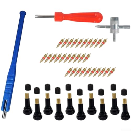 43-teiliges Reifenventil-Abzieher-Reparatur-Werkzeug-Set mit Doppelkopf-Ventilkernentferner, TR412 Snap-in-Ventilschäfte und -kerne 43-teiliges Reifenventil-Abzieher-Reparatur-Werkzeug-Set mit Doppelkopf-Ventilkernentferner, TR412 Snap-in-Ventilschäfte und -kerne von Manillefu