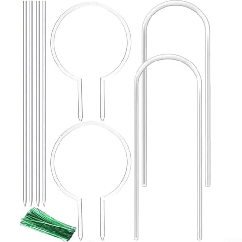 Acryl-Pergola-Optionen für Kletterreben, Pflanzenstützstangen, Acryl-Pflanzen-Rankgitter-Set für Kletterreben, Gartenpflanzen-Stützstäbe (B) von Manillefu