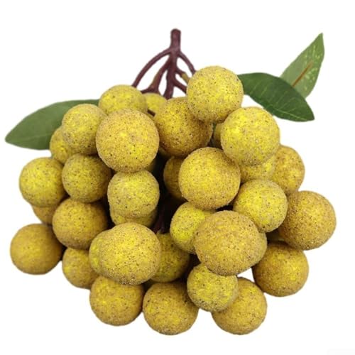 Kunstfrucht-Kollektion mit Longan, Litschi, Heidelbeere und Kirschen, ideal für Tischdekoration oder Fotografie (A) von Manillefu