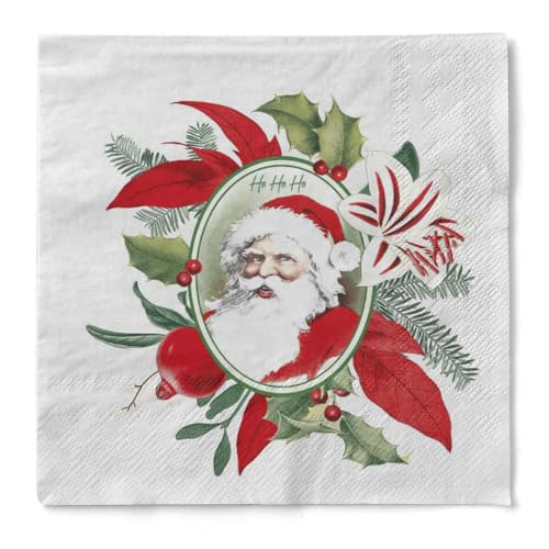 Mank Tissue-Servietten | 3-lagig | perfekt für Gastronomie und Feiern | Weihnachten | Advent | Weihnachtsmann | 100 Stück | Niklas (33 cm) von Mank
