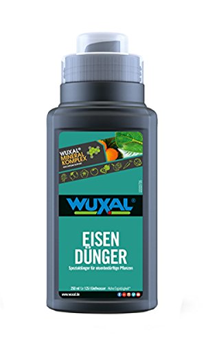 Wuxal Eisendünger flüssig 250ml Black Line von WUXAL