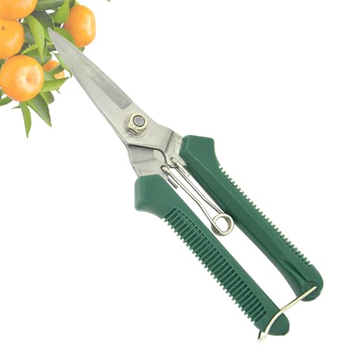 Gartenschere, Robuste Pflanzenschere Für Innenbereich, Ergonomischer Griff, Rostfreie Gartenschere, Präzisionsschneiden mit Rutschfester Griff für Hecke und Gemüse von Manolyee