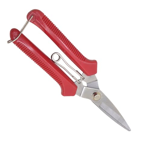 Gartenschere, Robuste Pflanzenschere Für Innenbereich, Ergonomischer Griff, Rostfreie Gartenschere, Präzisionsschneiden mit Rutschfester Griff für Hecke und Gemüse von Manolyee
