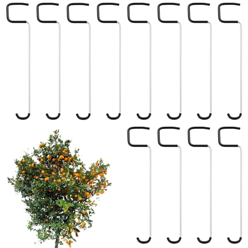 Obstbaum Astspreizer - Pflanzenast-Bieger für Baumäste - rutschfeste Biegehilfe Gartenzubehör für Wachstumskontrolle von Obstbäumen Weinberg Landschaftsgestaltung von Manolyee