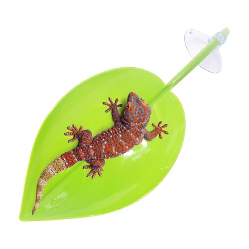 Schildkröten Sonnenplatz - Ruhebank Terrassenplatz | Blattform Saugnäpfe Teich Zubehör für Amphibien Kröten Gecko Zwergfrösche von Manolyee