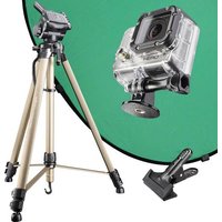 Mantona Falthintergrund (L x B x H) 580 x 100 x 100mm Grün Mantona Falthintergrund (L x B x H) 580 x 100 x 100mm Grün von Mantona