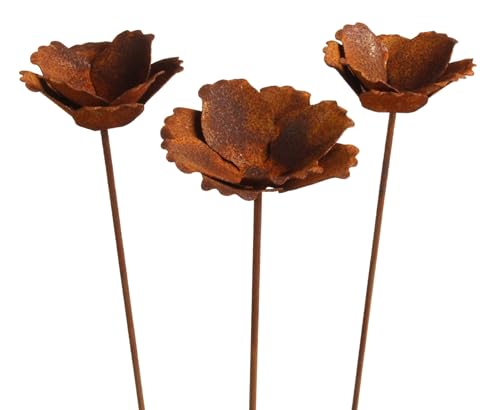Manufaktur Lichtbogen 3er Set Rost Gartenstecker Mohn offen 74 cm hoch Manufaktur Lichtbogen 3er Set Rost Gartenstecker Mohn offen 74 cm hoch von Manufaktur Lichtbogen