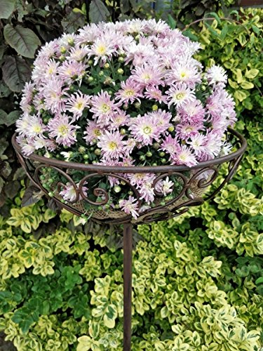 Manufaktur Lichtbogen XL Blumenkorb aus Metall zum stecken - 120 cm - Gartenstecker Pflanzenkorb Stab von Manufaktur Lichtbogen
