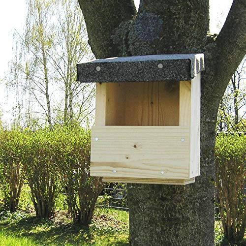 Nistkasten Halbhöhlenbrüter Bausatz Manufaktur Martinshof L:15,50 cm B: 15,50 cm H: 22,00 cm Ausführung Halbhöhlenbrüter geeignet für Bachstelze, Grauschnäpper, Hausrotschwanz, Rotkehlchen von Manufaktur Martinshof