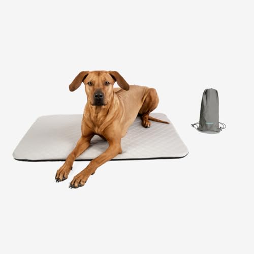 Manuly Hundedecke für unterwegs, Set aus Hundematte selbstaufblasend, kühlendem wasserabweisenden Bezug und Tragetasche, waschmaschinentauglich, Bezug kann gewechselt Werden, 100x70x3,5cm, 1080g von Manuly