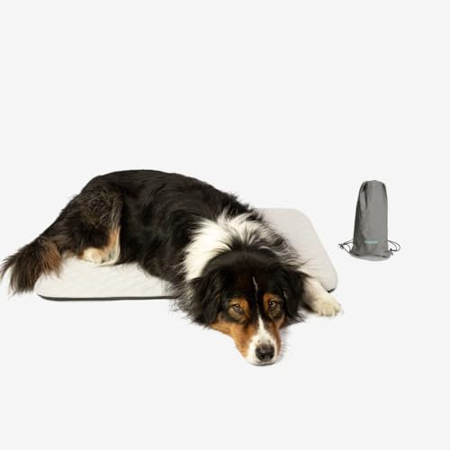 Manuly Hundedecke für unterwegs, Set aus Hundematte selbstaufblasend, kühlendem wasserabweisenden Bezug und Tragetasche, waschmaschinentauglich, Bezug kann gewechselt Werden, 80x60x3,5cm, 760g von Manuly