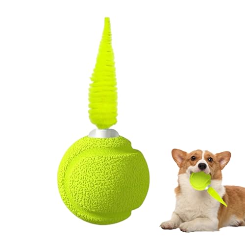 Maodom Ball mit Federn | Interaktiver Ball Mit Klang Für Kätzchen | Hüpfendes Spielzeug Zur Bewegung Und Unterhaltung Gegen Langeweile Für Wohnungskatzen Maodom Ball mit Federn | Interaktiver Ball Mit Klang Für Kätzchen | Hüpfendes Spielzeug Zur Bewegung Und Unterhaltung Gegen Langeweile Für Wohnungskatzen von Maodom