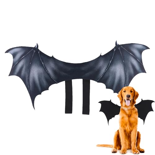 Maodom Hund Halloween Kostüm | Halloween Party Fledermausflügel Verkleidung - Outfit Zubehör Für Party Veranstaltung Cosplay Verkleidung Haustier Welpe Maodom Hund Halloween Kostüm | Halloween Party Fledermausflügel Verkleidung - Outfit Zubehör Für Party Veranstaltung Cosplay Verkleidung Haustier Welpe von Maodom