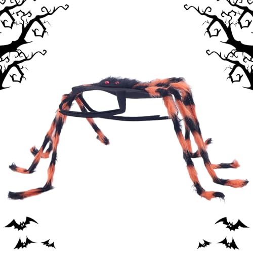 Maodom Katzen Halloween Kostüme - Spinnen Katze Halloween Verkleidung - Spuk Fest Kleidung Haustier Zubehör Für Welpe Feier Fotosession Umzug Party Maodom Katzen Halloween Kostüme - Spinnen Katze Halloween Verkleidung - Spuk Fest Kleidung Haustier Zubehör Für Welpe Feier Fotosession Umzug Party von Maodom