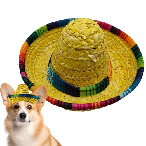 Maodom Mini Sombrero | Geflochtene Partyhüte,Kostümdekoration Mit Breiter Krempe Für Geburtstage Kinder Haustierfeste Outdoor von Maodom