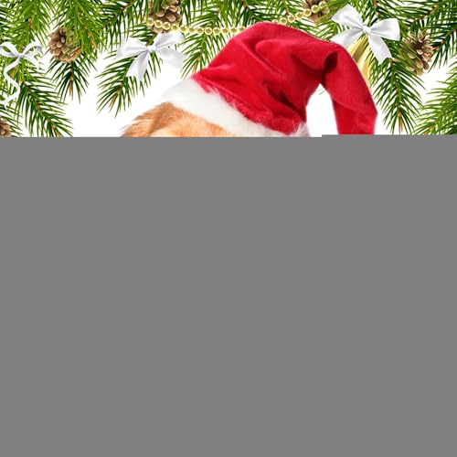 Maodom Weihnachts-Hundehalstücher,Hundehalstücher Weihnachten,Weihnachten weiche Hundehalstücher Hundelätzchen | Niedlicher, atmungsaktiver Haustierschal aus Spitze, wendbares Haustierzubehör für Maodom Weihnachts-Hundehalstücher,Hundehalstücher Weihnachten,Weihnachten weiche Hundehalstücher Hundelätzchen | Niedlicher, atmungsaktiver Haustierschal aus Spitze, wendbares Haustierzubehör für von Maodom