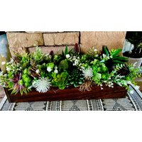 24 Zoll Sukkulente, Grünliche Handgemachte Box von MapleLaneDesignByMel