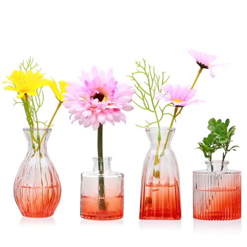 Mapoxy Glasvasen, 4er-Set, kleine orangefarbene Blumenvasen für Hochzeit, Tischdekoration, klare Vintage-geprägte Mini-Vasen, Blumenarrangements in Vasen für Party oder Heimdekoration Mapoxy Glasvasen, 4er-Set, kleine orangefarbene Blumenvasen für Hochzeit, Tischdekoration, klare Vintage-geprägte Mini-Vasen, Blumenarrangements in Vasen für Party oder Heimdekoration von Mapoxy
