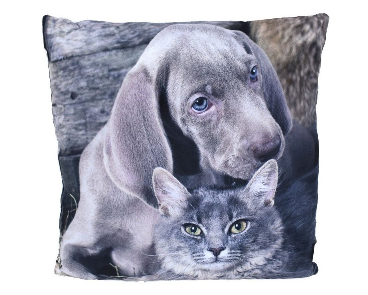 Marabellas Shop Dekokissen Couchkissen Tier Motiv Welpe Hund, Katze, Fohlen oder Hase 40x40cm von Marabellas Shop