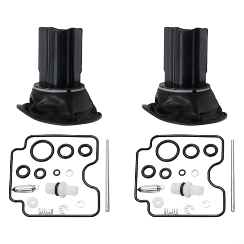2 Set Vergaser-Reparatursatz für XVS 1100 Drag Star 1999 2007, perfekte Passform für Lagervergaser von Marchfunny