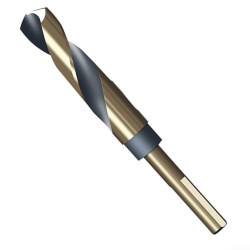 Diverse Application Drill Bits with Dual Sizes A Combination of a 10mm & a 12 7 mm Shank for Professionals (18mm) von Marchfunny