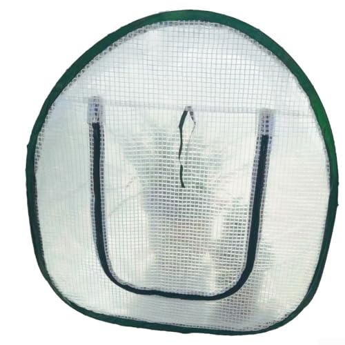 Transparenter Pflanzenschutz verbessert das Wachstum von Sukkulenten mit diesem faltbaren Gewächshaus-Design Transparenter Pflanzenschutz verbessert das Wachstum von Sukkulenten mit diesem faltbaren Gewächshaus-Design von Marchfunny