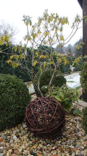 Weidenkugel in 6 Größen, Dekokuge laus Weide Weidenball Gartenkugel Handgefertigt in EU (35cm) von Marcus Weidenhandel