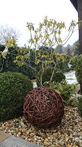 Weidenkugel in 6 Größen, Dekokuge laus Weide Weidenball Gartenkugel Handgefertigt in EU (45cm) von Marcus Weidenhandel