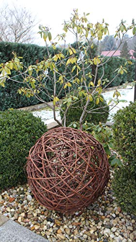 TOMENGBEIAABBCC Weidenkugel in 6 Größen, Dekokuge laus Weide Weidenball Gartenkugel Handgefertigt in EU (50cm) von Marcus Weidenhandel