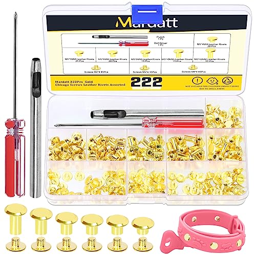 Mardatt 222Pcs Chicago Screws Assorted Kit with Setting Tools, M5 X 4/5/6/8/10/12MM Screw Rivets Metal Slotted Screw Studs Leather Rivets for DIY Leather Craft Decoration(Gold) von Mardatt