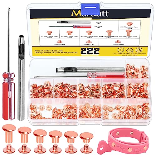 Mardatt 222Pcs Chicago Screws Assorted Kit with Setting Tools, M5 X 4/5/6/8/10/12MM Screw Rivets Metal Slotted Screw Studs Leather Rivets for DIY Leather Craft Decoration(Rose Gold) von Mardatt